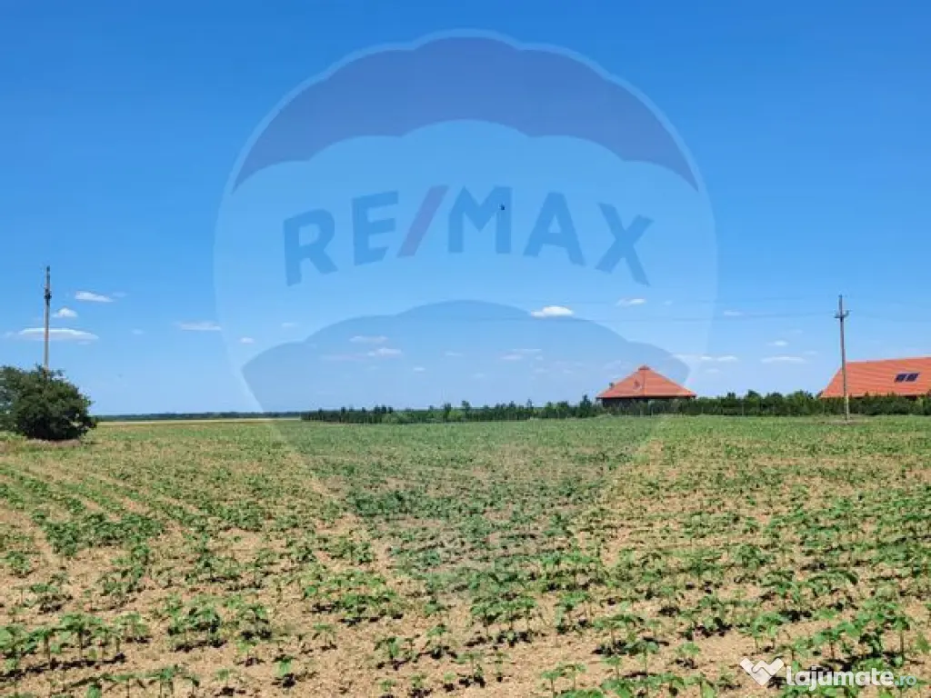 Teren intravilan 5,000 mp Peris IF