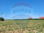 Teren intravilan 5,000 mp Peris IF 