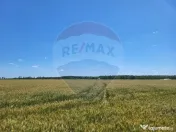 Teren intravilan 5,000 mp Peris IF 