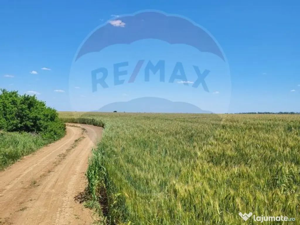 Teren intravilan 5,000 mp Peris IF