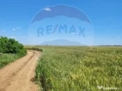 Teren intravilan 5,000 mp Peris IF 