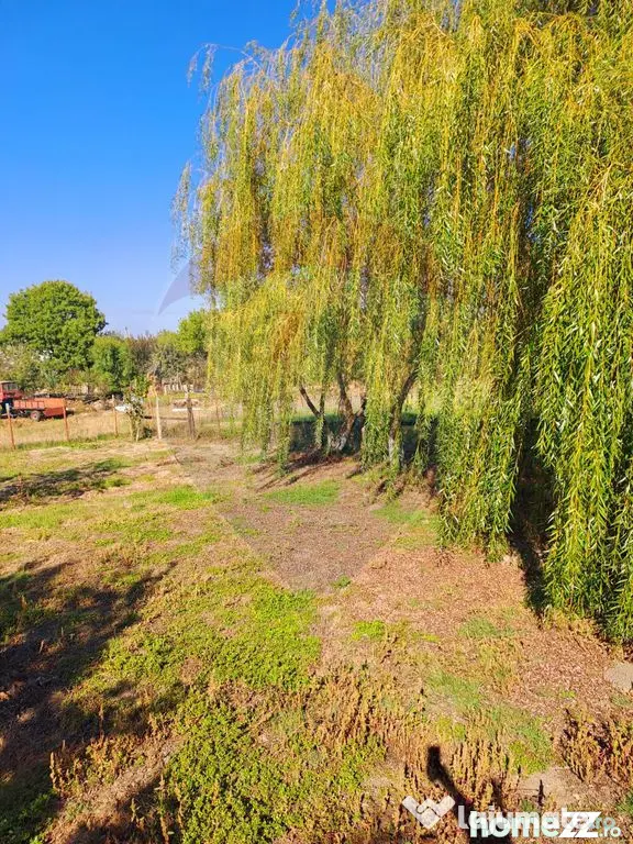 Teren intravilan 6850 mp Simnic, Izvor