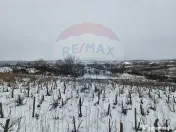 Teren intravilan 7000 mp Simnic, Izvor 