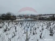 Teren intravilan 7000 mp Simnic, Izvor 