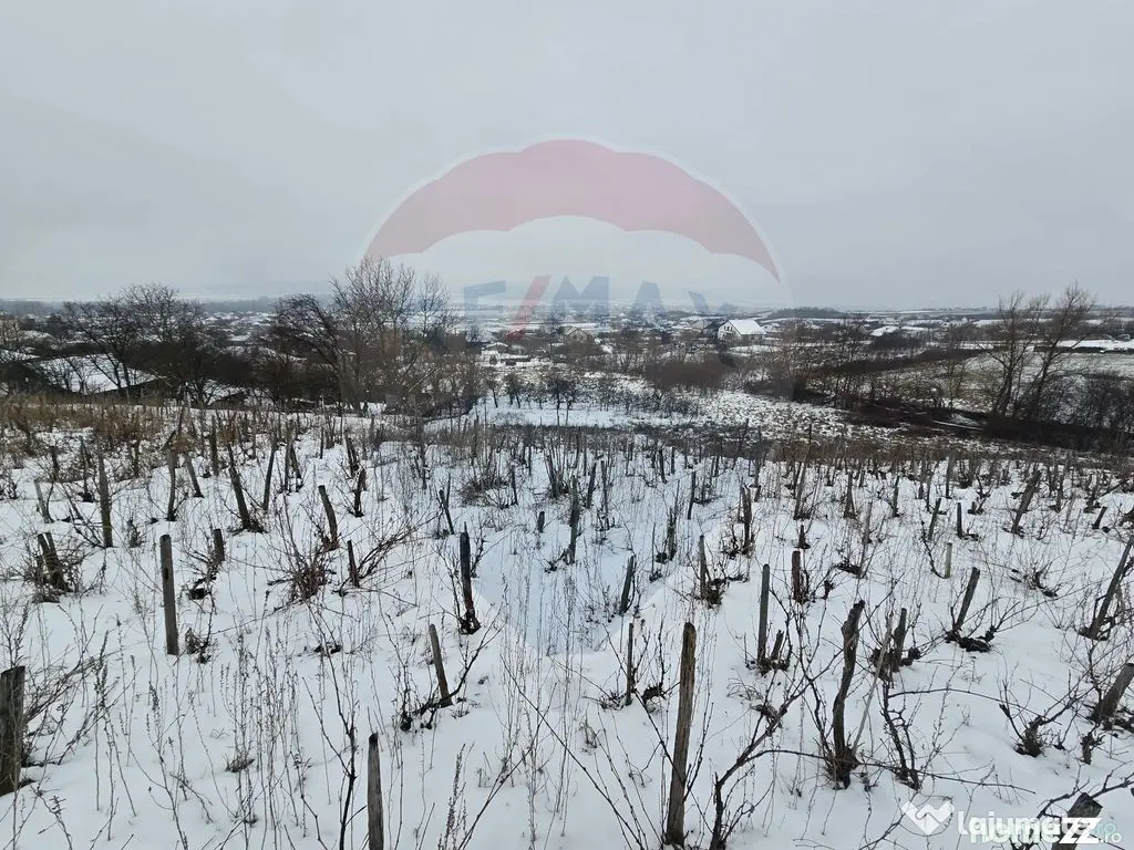 Teren intravilan 6850 mp Simnic, Izvor
