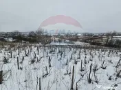 Teren intravilan 6850 mp Simnic, Izvor 