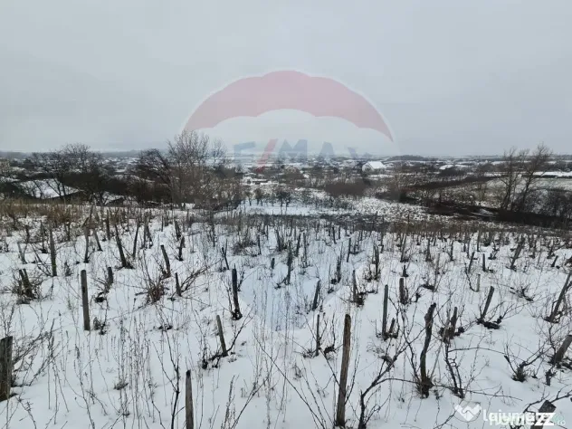 Teren intravilan 6850 mp Simnic, Izvor