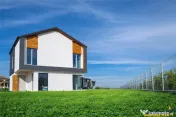 Proiect distinct, din pasiune pentru calitate, Cristian, Bra