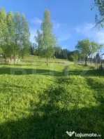 Teren intravilan in Vatra Dornei, 2000 mp