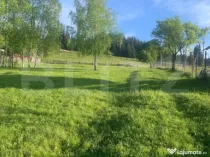 Teren intravilan in Vatra Dornei, 2000 mp