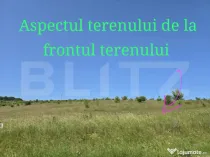 Teren intravilan construibil in Salicea