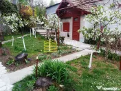 Proprietate premium cu potențial investițional – Plat... 