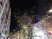 Vanzare apartament 2 camere in zona bd. Decebal stradal 