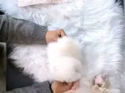 Fata de masa cu lamai