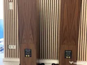 Audio Physic CARDEAS 