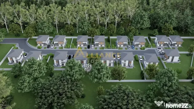 Ansamblu rezidential _200m pana la statia de autobuz _strada
