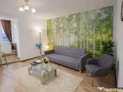 Garsoniera moderna, etaj intermediar, cadru natural, Noua Br 