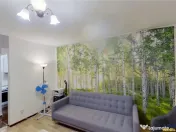 Garsoniera moderna, etaj intermediar, cadru natural, Noua Br 