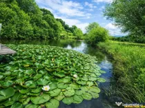 Rafinament in cartier linistit, pe 30.000 mp teren paradis,