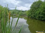 Rafinament in cartier linistit, pe 30.000 mp teren paradis, 