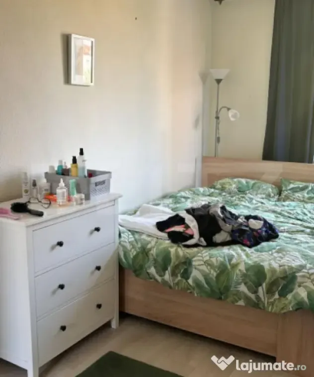 Apartament 2 camere OM
