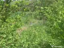 Teren intravilan 500 mp - Ganeasa