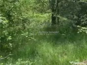 Teren intravilan 500 mp - Ganeasa 