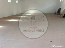 Hală Nouă 270 mp – Str. Depozitelor 56, Satu Mare