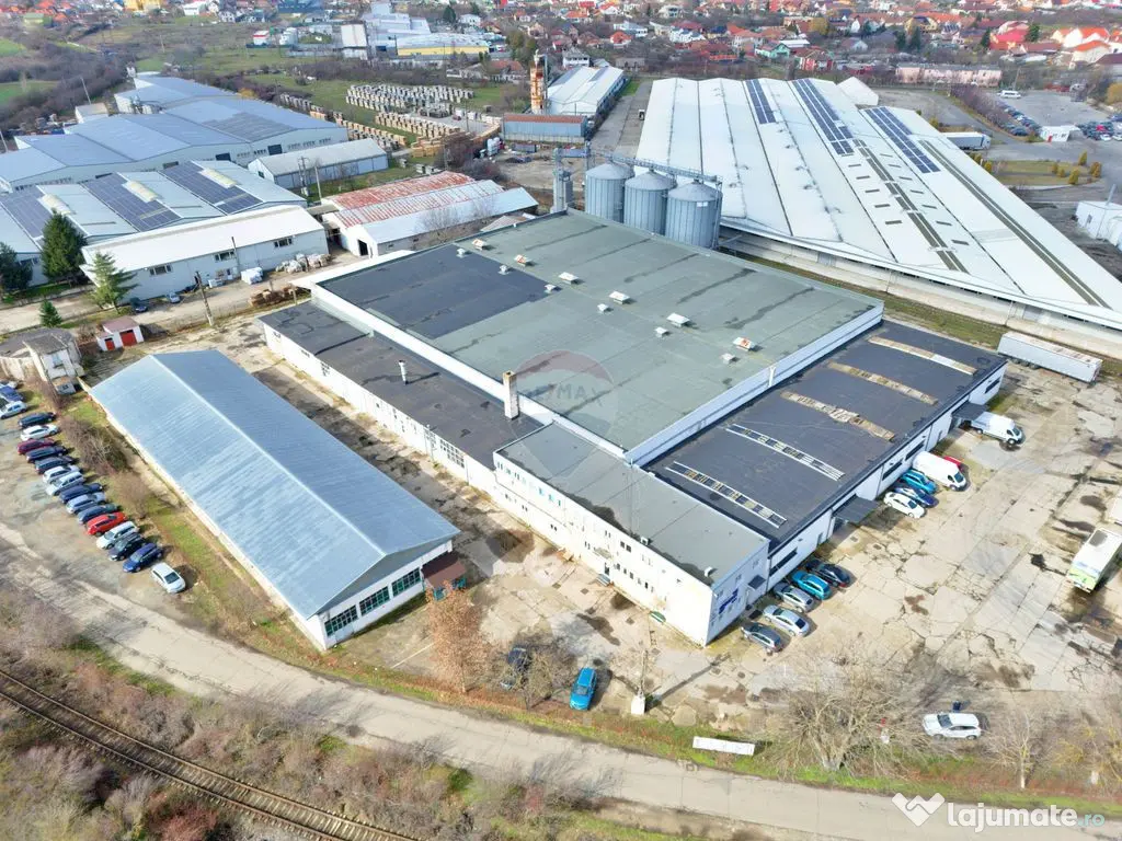 Spațiu industrial de vânzare în Aradul Nou / Arad