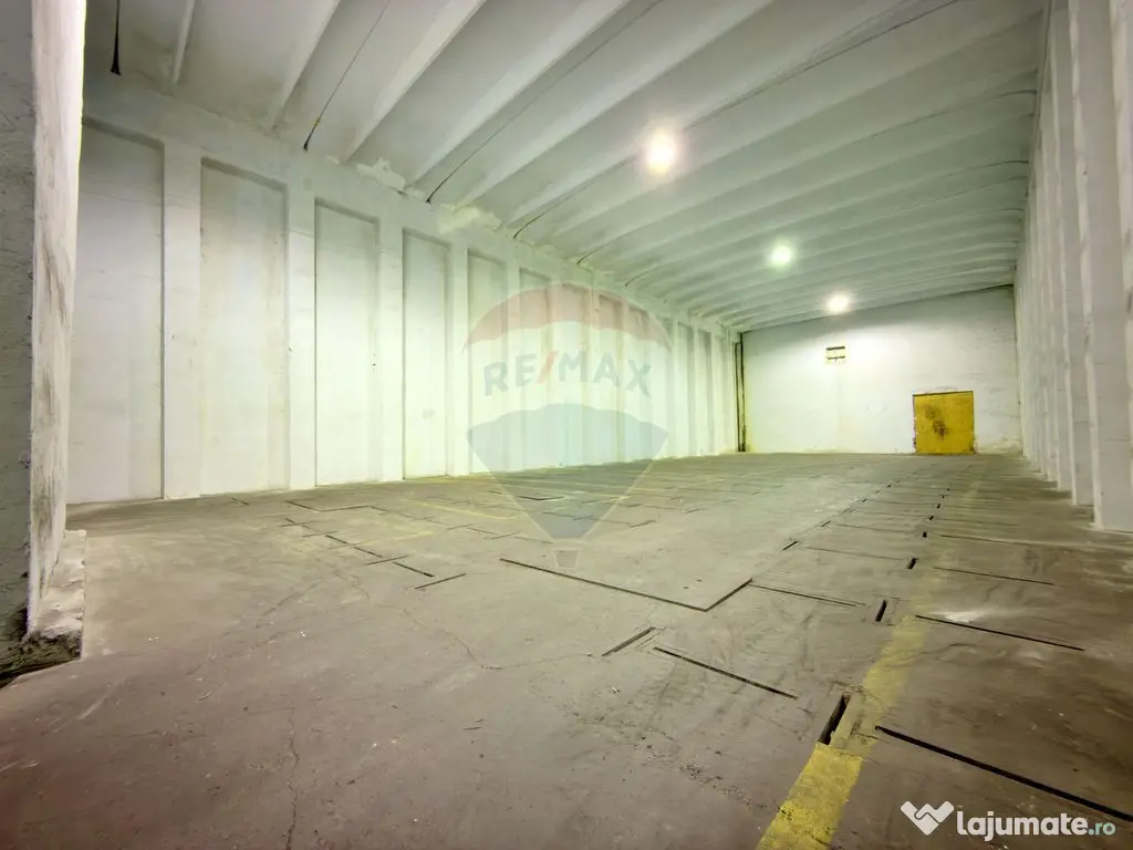 Spațiu industrial de vânzare în Aradul Nou / Arad