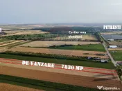 Teren 7,830mp Vanatori / Strada DJ204E 