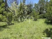 Teren 2.200 mp lângă pădure, la 11 km de Pitești – ide 