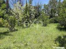 Teren 2.200 mp lângă pădure, la 11 km de Pitești – ide