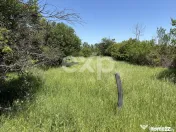 Teren 2.200 mp lângă pădure, la 11 km de Pitești – ide 