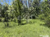 Teren 2.200 mp lângă pădure, la 11 km de Pitești – ide 
