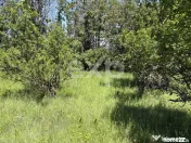 Teren 2.200 mp lângă pădure, la 11 km de Pitești – ide 