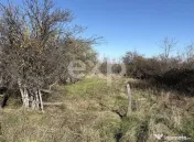 Teren ideal pentru casă – liniște, natură și intimitat 