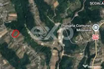 Teren langa padure, liniste, aer curat la 11 km de Pitesti