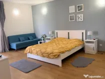 Garsoniera decomandata, 42 mp, zona Brestiei-Promenada,