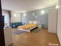 Garsoniera decomandata, 42 mp, zona Brestiei-Promenada,