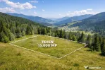 Teren extravilan de 15000 mp în loc Gura Glodului, ocazie u