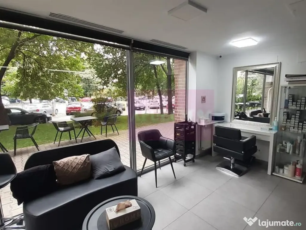 Spatiu Comercial Stradal Șoseaua Colentina zona Teiul Do...