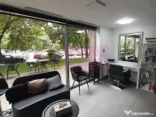 Spatiu Comercial Stradal Șoseaua Colentina zona Teiul Do... 