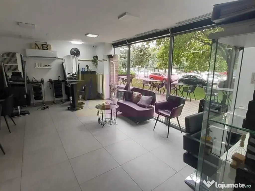 Spatiu Comercial Stradal Șoseaua Colentina zona Teiul Do...