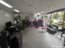 Spatiu Comercial Stradal Șoseaua Colentina zona Teiul Do...