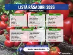 Vand Rasad Rosii Ardei Vinete Castraveti Varza | Rasaduri Legume 2026