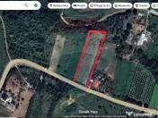 Teren intravilan Dumbraveni / Strada Principala 