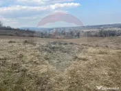 Teren intravilan Dumbraveni / Strada Principala 