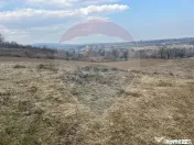 Teren intravilan Dumbraveni / Strada Principala