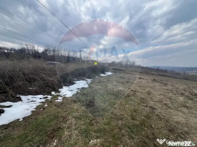 Teren intravilan Dumbraveni / Strada Principala